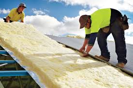 Professional Insulation Services in Wanamingo, MN